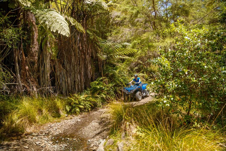Nelson: Guided Quad Biking Tour Through Forest and Farmland - Views, Weather, and the Photo-Stop Reality Check