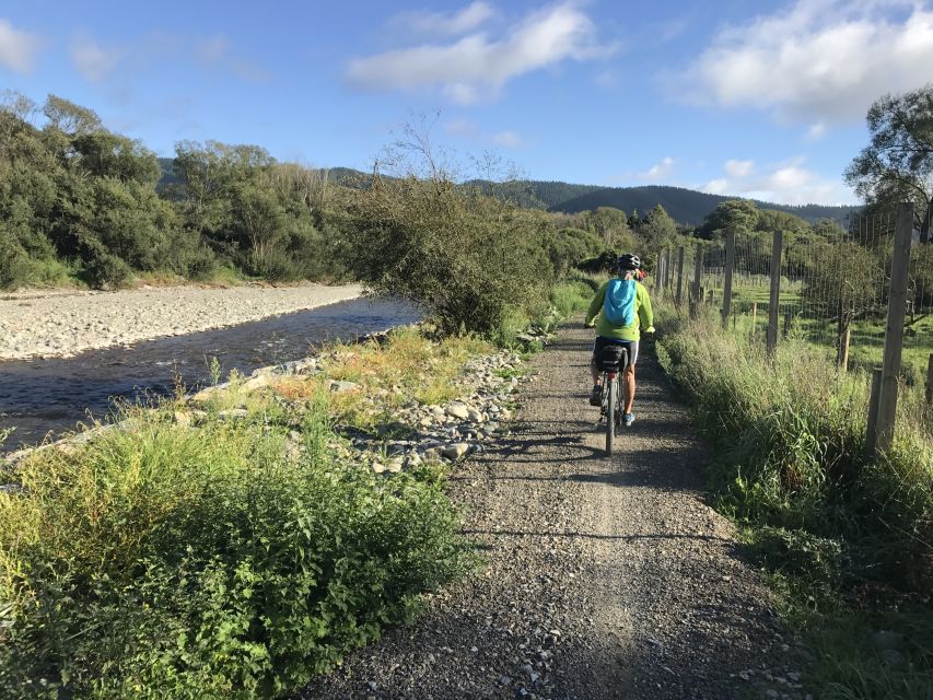 Nelson: Self-Guided Tunnel to Town Cycling Tour via Mapua - Where Lunch Hits: Grape Escape Café, Te-Mania, and Berry Ice Cream