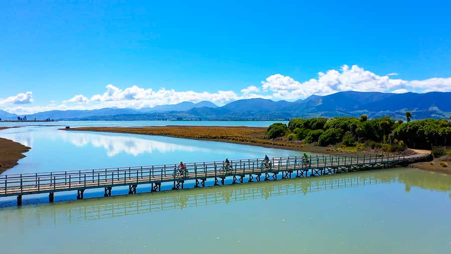 Nelson to Mapua: Full-Day Cycling Self-Guided Adventure - Key Points You’ll Care About