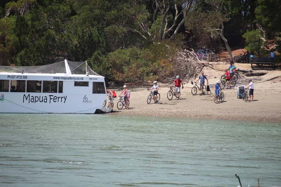Nelson to Mapua: Full-Day Cycling Self-Guided Adventure - Nelson to Mapua on Two Wheels: What This Day Trip Really Feels Like