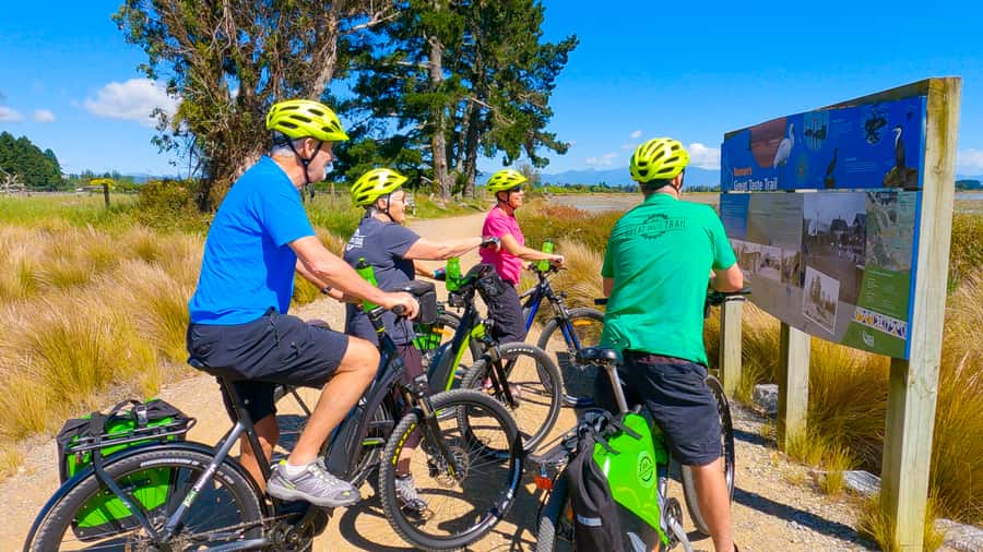 Nelson to Mapua: Full-Day Cycling Self-Guided Adventure - Starting in Nelson: Bike Fit, Gear Check, and First “Local Flavor” Wins