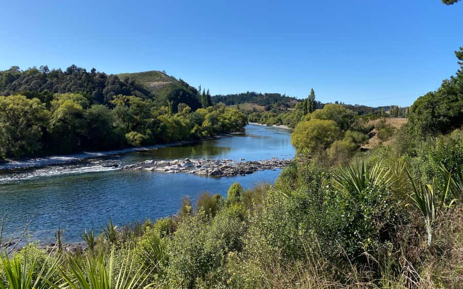 Nelson to Mapua: Full-Day Cycling Self-Guided Adventure - Riding the Blue Trail Markers South: Easy Navigation and Better Stops