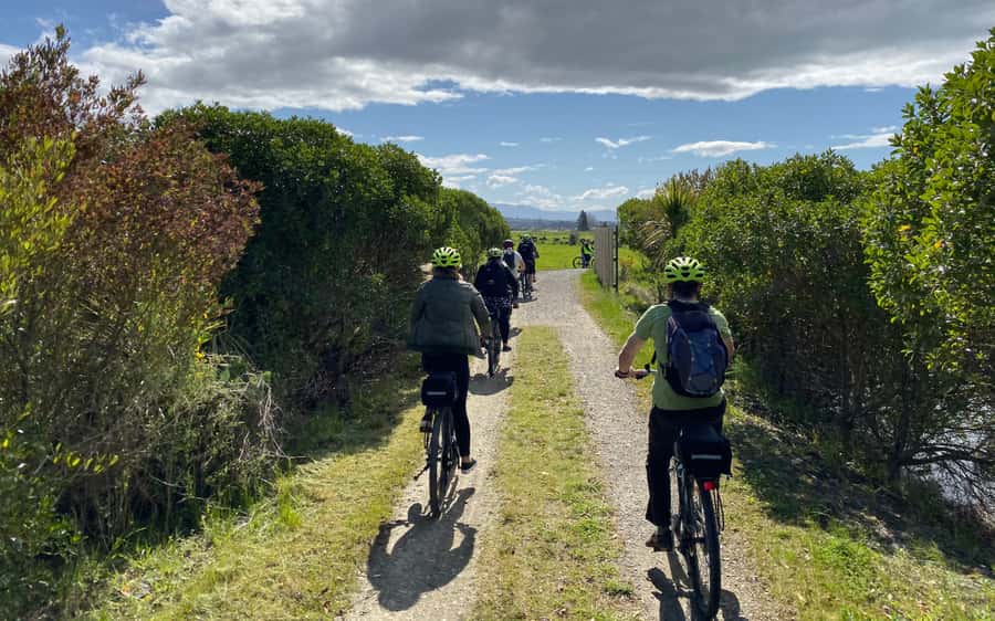 Nelson to Mapua: Full-Day Cycling Self-Guided Adventure - Waimea Swing Bridge and Coastal Boardwalks: The Photo Moment That Matters