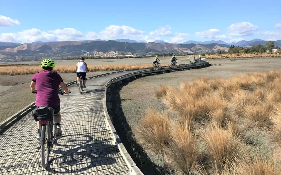 Nelson to Mapua: Full-Day Cycling Self-Guided Adventure - Rabbit Island: The Swim Break That Makes the Day Feel Like More Than Cycling