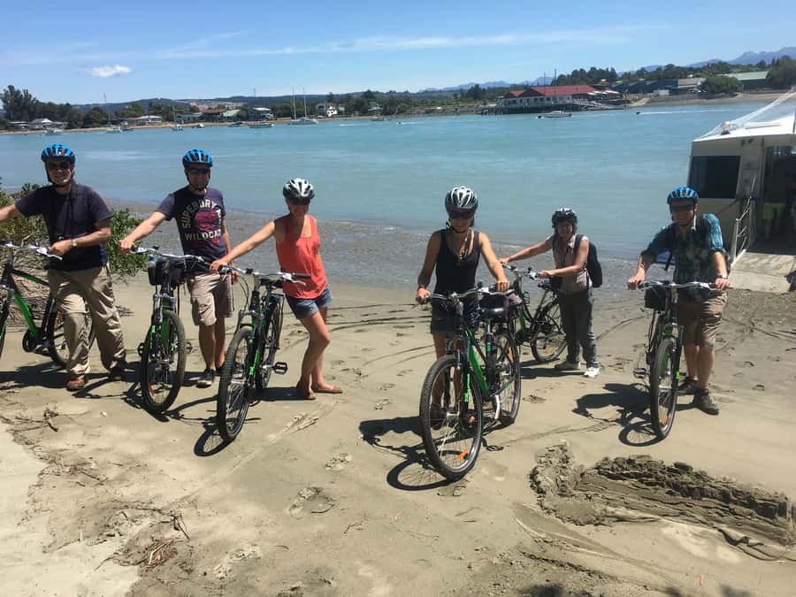 Nelson to Mapua: Full-Day Cycling Self-Guided Adventure - Wineries, Craft Breweries, and the Honest Lawyer: How to Taste Without Losing the Day