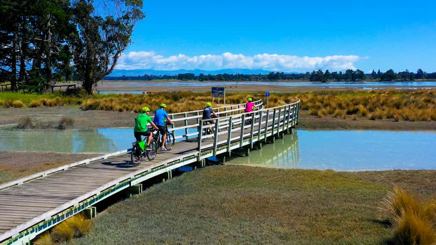 Nelson to Mapua: Full-Day Cycling Self-Guided Adventure - Self-Guided Is the Point, Not a Compromise