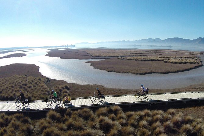Nelson to Mapua: Full-Day Self-Guided Cycling Adventure - Quick hits before you pedal