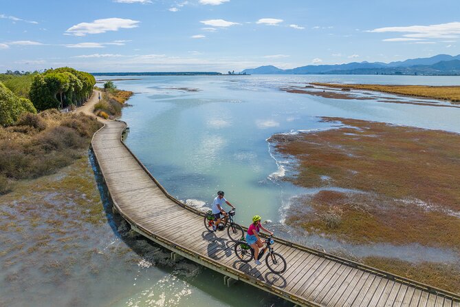 Nelson to Mapua: Full-Day Self-Guided Cycling Adventure - How easy is it, really? Comfort gear and real-world trail conditions