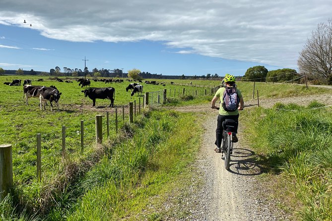Nelson to Mapua: Full-Day Self-Guided Cycling Adventure - Who this tour fits best in Nelson and Mapua