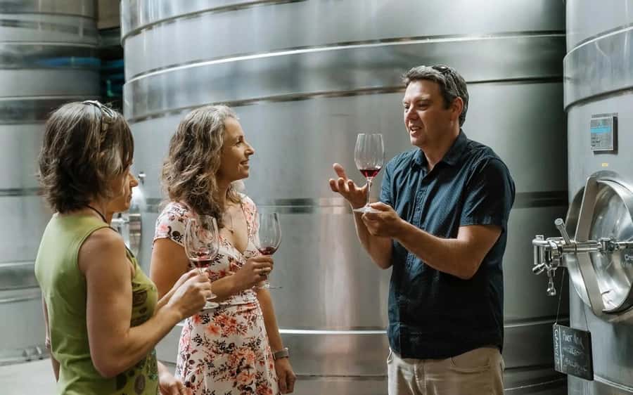 Nelson: Wine Tour with Tastings and Lunch - Four tastings, one day: how the boutique stops are set up