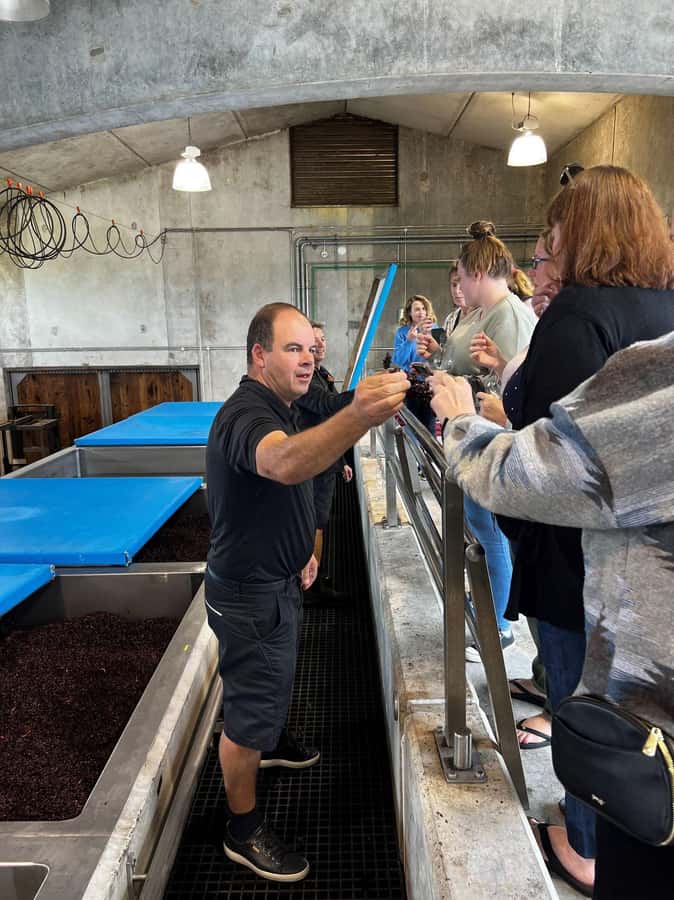 Nelson: Wine Tour with Tastings and Lunch - The Nelson wine map: Moutere, Waimea, Coastal Tasman in plain language