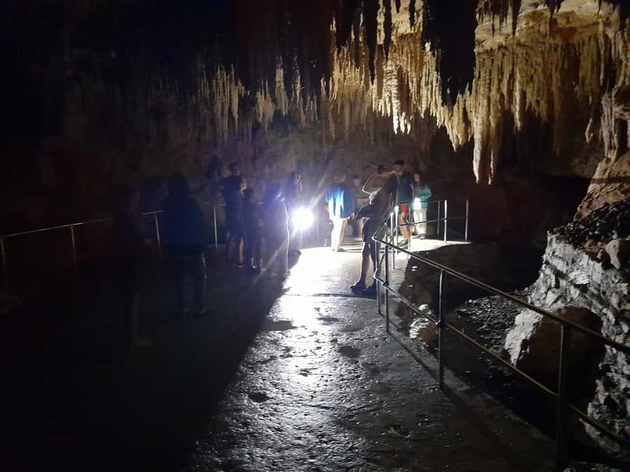 New Zealand: Milky Way Glowworm Cave Tour - Inside the cave: 30 steps down and torches in hand
