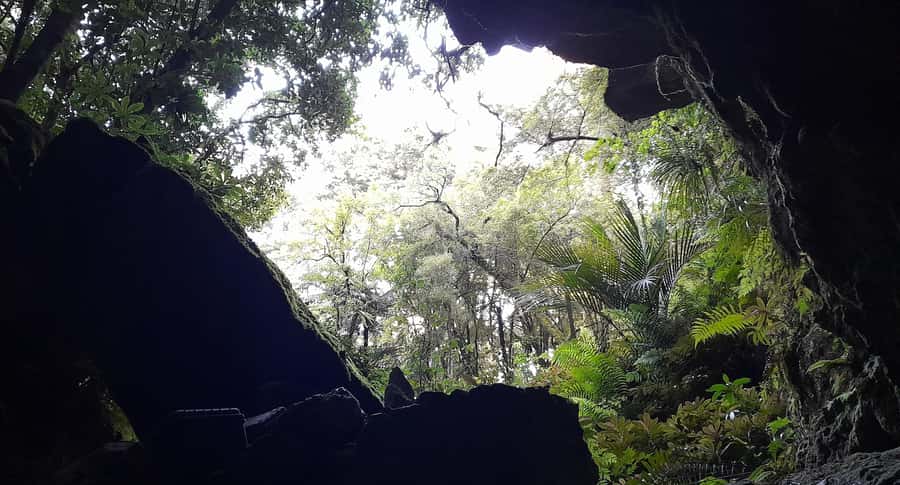 New Zealand: Milky Way Glowworm Cave Tour - Crystal formations and the easy concrete path
