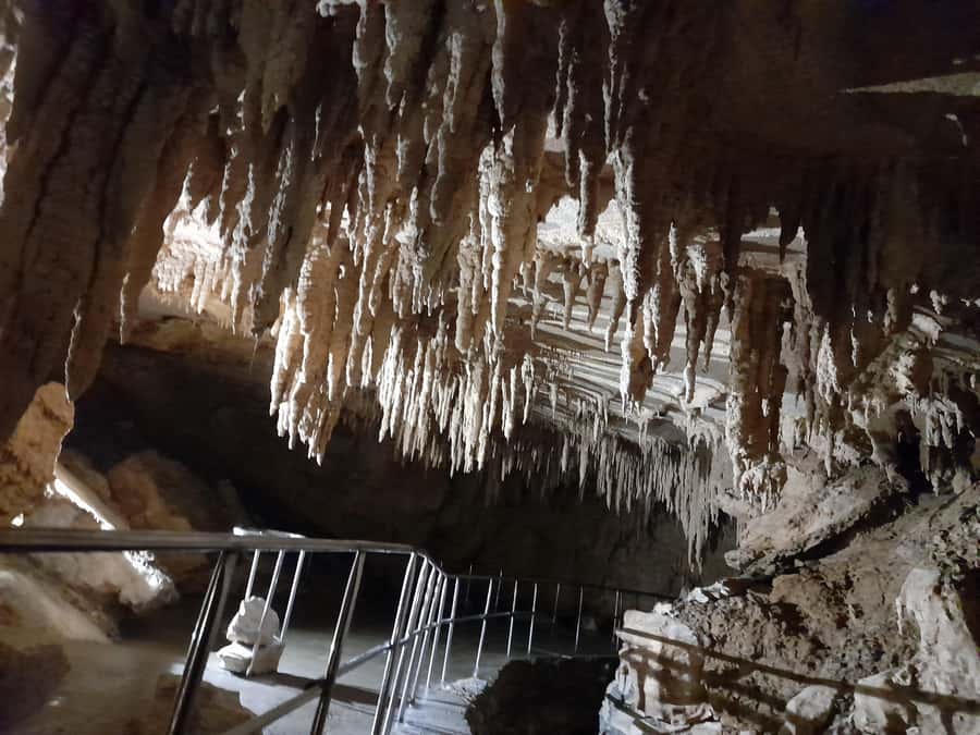 New Zealand: Milky Way Glowworm Cave Tour - Why this cave feels different, from secret past to public opening
