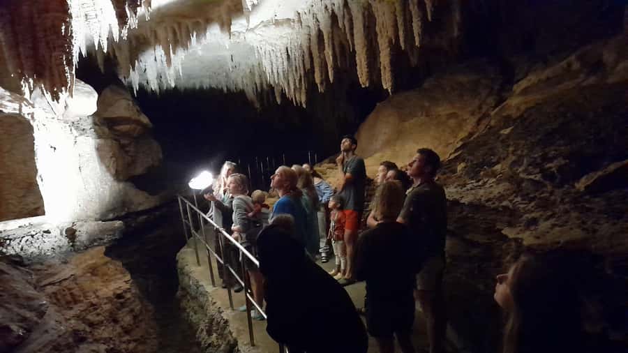 New Zealand: Milky Way Glowworm Cave Tour - Getting there and finding the tour starts fast