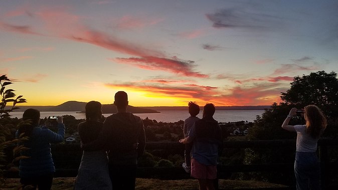 Nocturnal adventure Glow-worm tour - Price and value: what $77.57 buys you in Rotorua