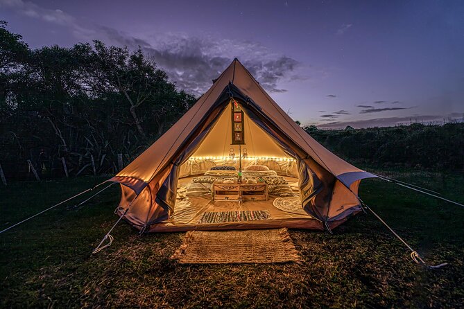 Nocturnal Wonders Tawharanui Kiwi Spotting and Stargazing Tour - Twilight Kiwi Discovery: How You Actually Find a Kiwi