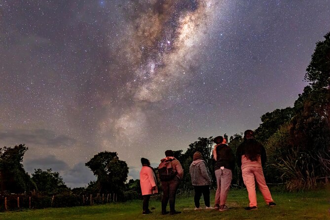Nocturnal Wonders Tawharanui Kiwi Spotting and Stargazing Tour - Price and Value: What $93.09 Buys You