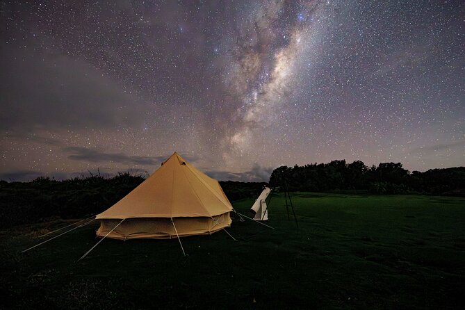 Nocturnal Wonders Tawharanui Kiwi Spotting and Stargazing Tour - What to Bring for a Dark-Sky Night in the Bush