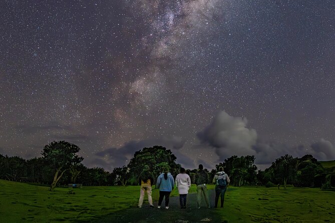 Nocturnal Wonders Tawharanui Kiwi Spotting and Stargazing Tour - Stargazing at Tawharanui: Telescopes, Binoculars, and Stories