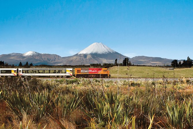 Northern Explorer Train Journey from Auckland to Wellington - Why the Northern Explorer Feels Like More Than Transportation