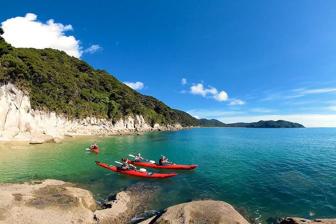 Oarsome Marine Reserve Kayak Tour - Key Highlights You Should Know