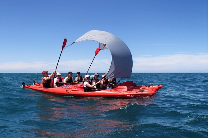 Oarsome Marine Reserve Kayak Tour - Marahau Is a Great Jumping-Off Point for Abel Tasman