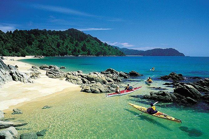 Oarsome Marine Reserve Kayak Tour - Abel Tasman National Park by Kayak: Long Views and the Anchorage Beach Moment