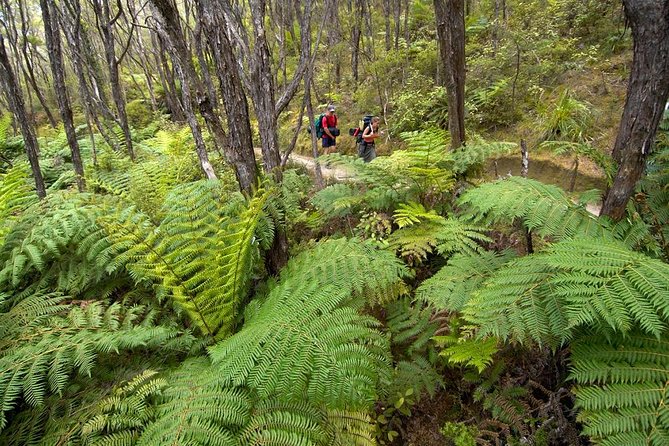 Oarsome Marine Reserve Kayak Tour - Wildlife and Nature Details You Can Plan Around