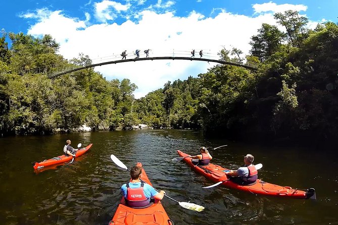 Oarsome Marine Reserve Kayak Tour - Price and Value: Is $198.58 Worth It?