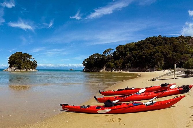 Oarsome Marine Reserve Kayak Tour - When This Tour Is Best for You (and When to Rethink)
