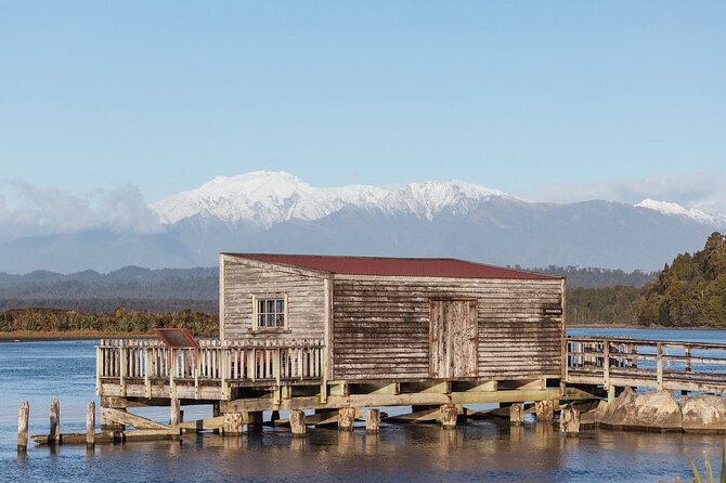 Okarito Nature Tour - Bird spotting that feels guided, not random