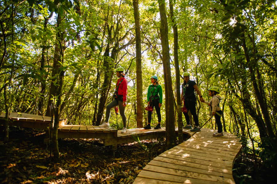 Okere Falls: Zipline over Waterfalls Experience - How the guides turn thrills into learning without slowing you down