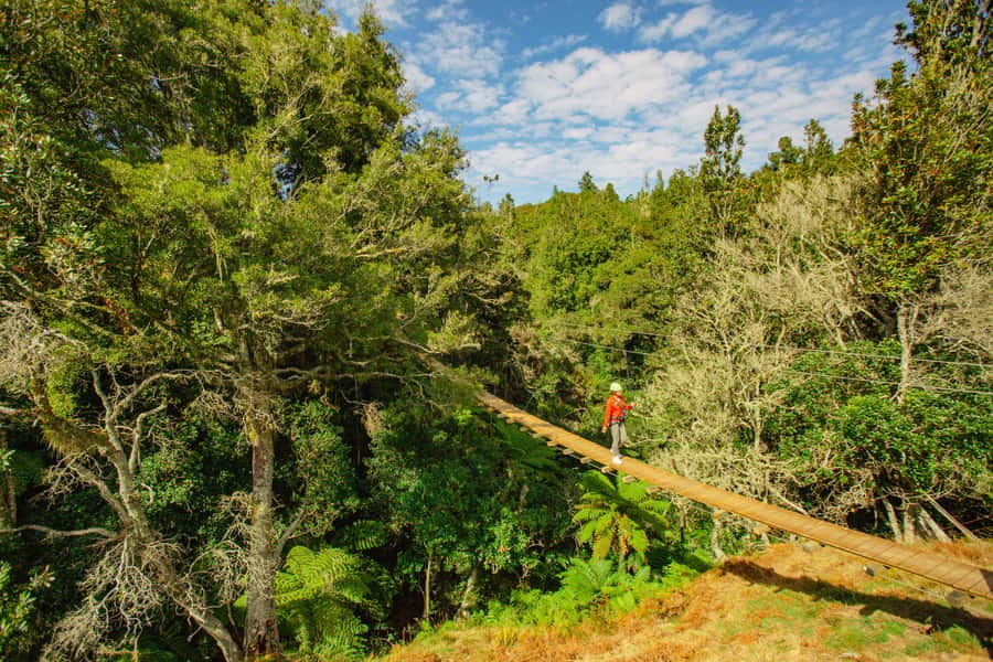 Okere Falls: Zipline over Waterfalls Experience - Weather reality in Rotorua: what to wear and how to stay comfortable