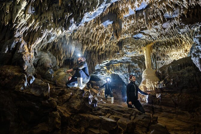 Okohua Glowworm Cave Adventure - The 3-hour flow, step by step