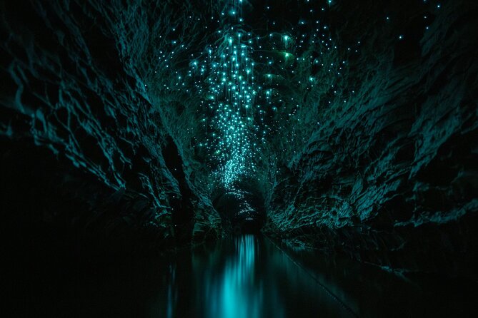Okohua Glowworm Cave Adventure - Pricing and value: what $141.58 buys you