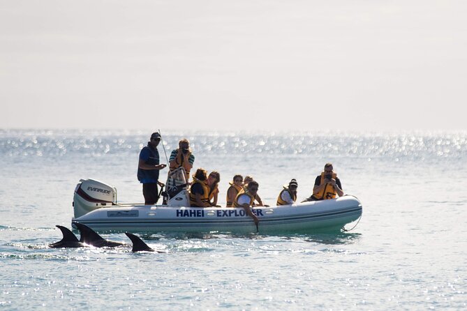 One Hour Cathedral Cove Boat Tour in Hahei - Key things I’d watch for before you book