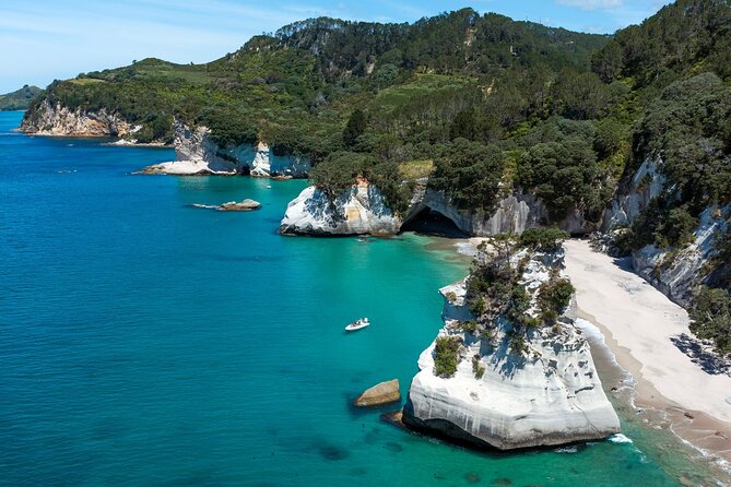 One Hour Cathedral Cove Boat Tour in Hahei - Hahei Explorer: a one-hour boat ride that earns its ticket price