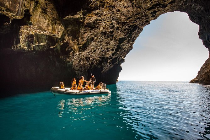 One Hour Cathedral Cove Boat Tour in Hahei - Best value choices: who this tour suits, and who might want alternatives