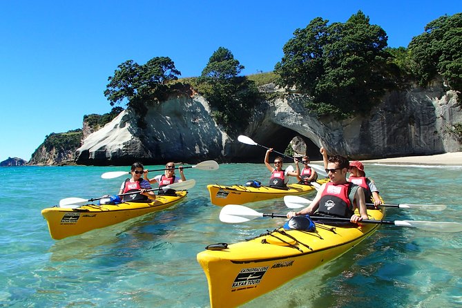 One Hour Cathedral Cove Boat Tour in Hahei - Weather and water: how to plan for the one thing you cannot control
