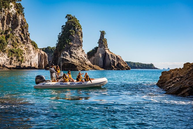 One Hour Cathedral Cove Boat Tour in Hahei - Practical tips that make the hour smoother