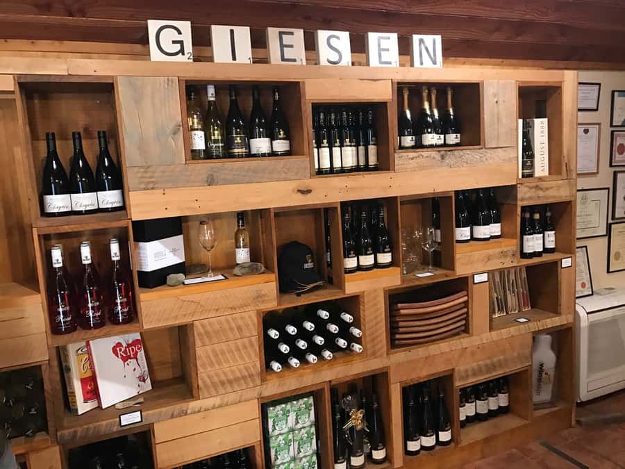 Onshore Highlights of Marlborough's Wine Region from Picton - What to bring so the day feels smooth, not stressful