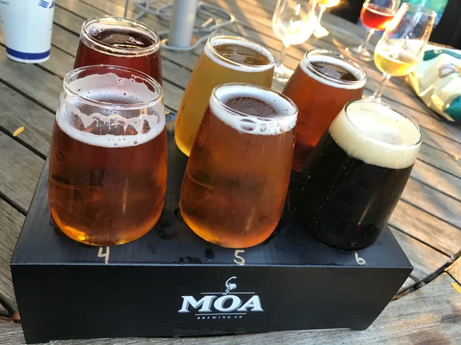 Onshore Highlights of Marlborough's Wine Region from Picton - Wine tasting in Marlborough, done like a best-practice sampler