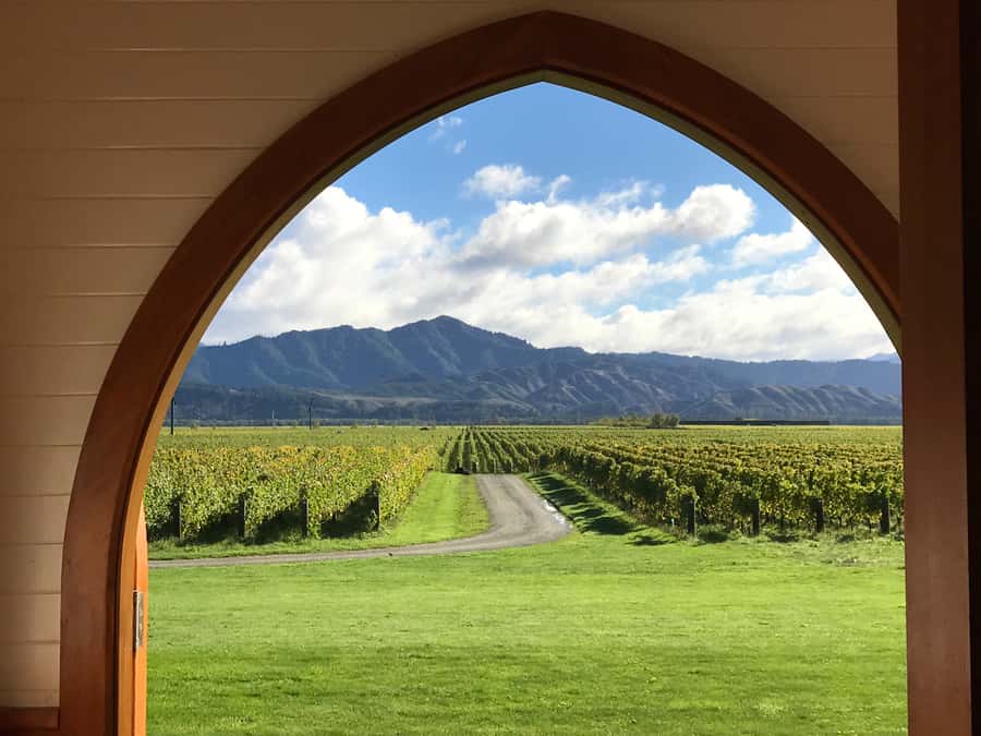 Onshore Highlights of Marlborough's Wine Region from Picton - Optional Omaka Aviation Air Centre, when you want a break from vineyards