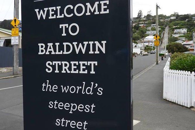 Otago Peninsula Scenery and Dunedin City Highlights Tour - Baldwin Street and the botanic gardens quick-hit route