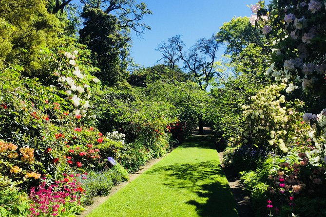 Otago Peninsula Scenery and Dunedin City Highlights Tour - Royal Albatross Centre stop, lunch choices, and what to expect