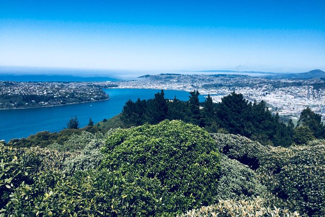 Otago Peninsula Scenery and Dunedin City Highlights Tour - Guides and pace, from Teresa to Warren and Ross