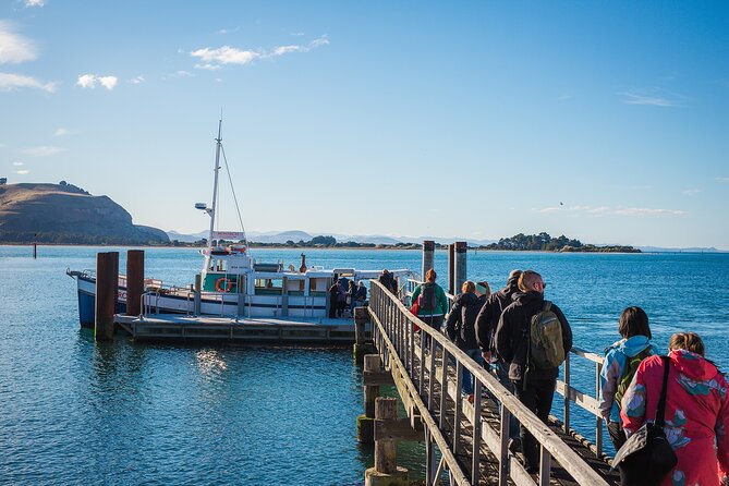 Otago Peninsula Wildlife Cruise with Monarch - The Otago Peninsula cruise that’s actually doable on a tight schedule