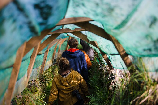 Otago Peninsula Wildlife Tour & Cruise - Key things to know before you go