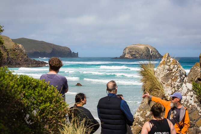Otago Peninsula Wildlife Tour & Cruise - Dunedin to the Otago Peninsula: the appeal of being close to nature